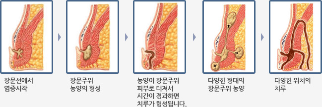 �躯����